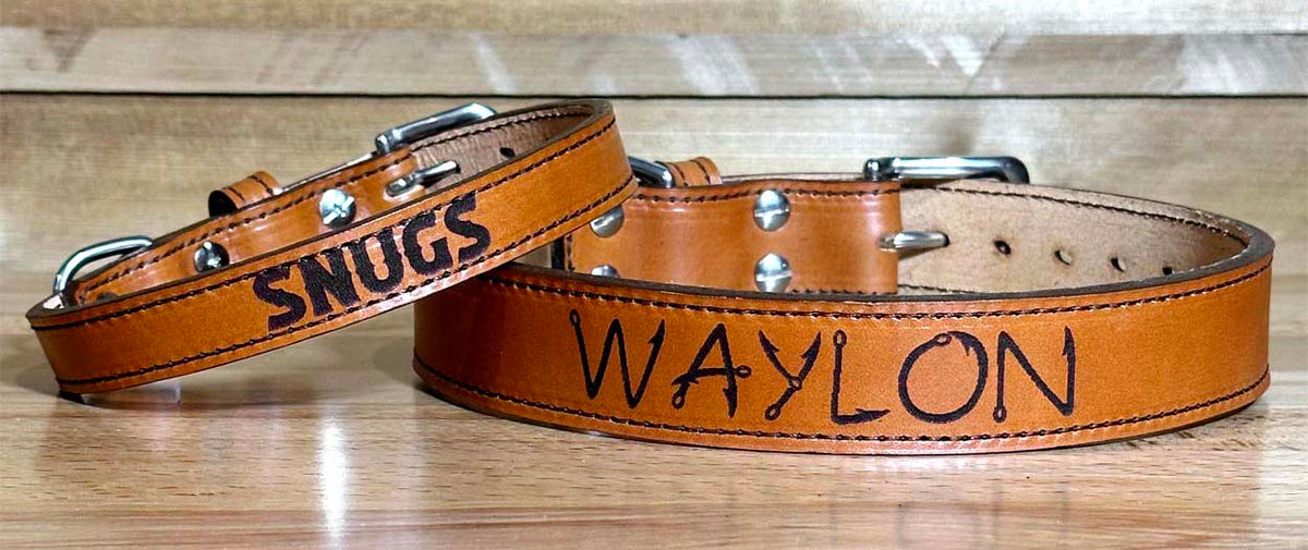 Dog Collars – On Point Forge & Leather