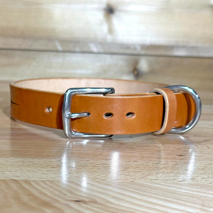 Swordfish |  Forge Etched Leather Dog Collar